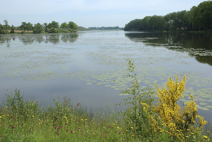 L'Etang Neuf