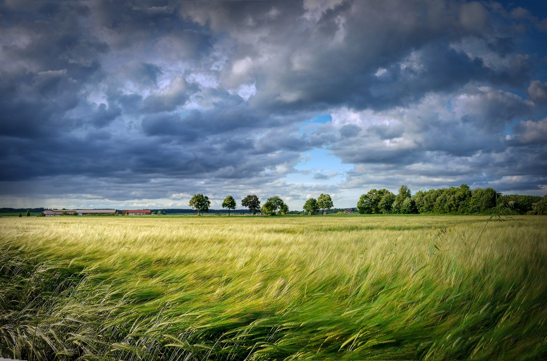Patrimoine & Environnement