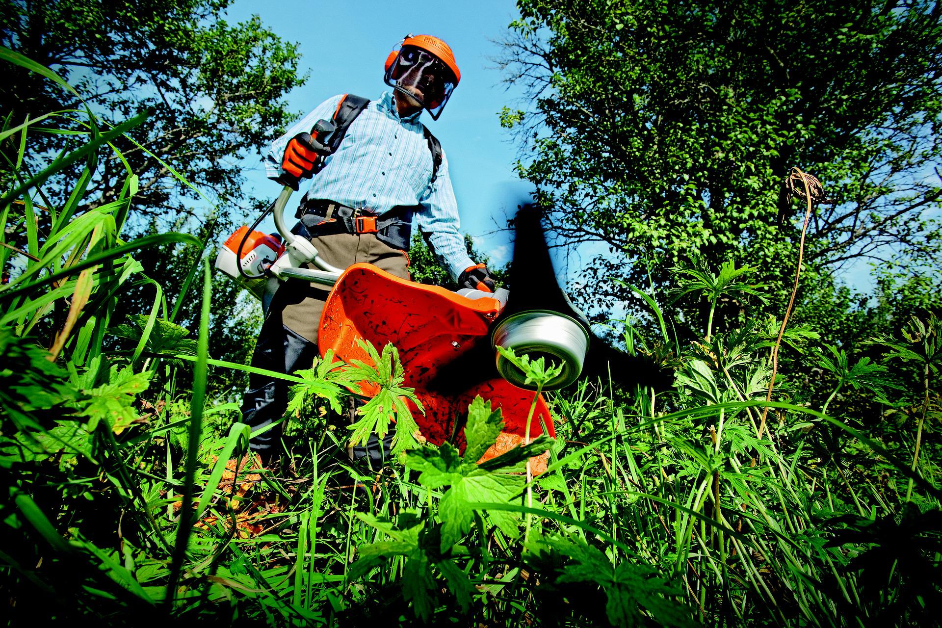 LMG Environnement