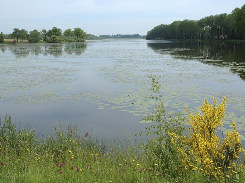 L'Etang Neuf
