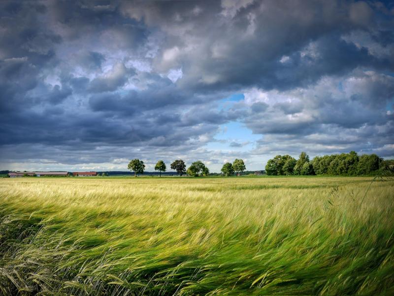 Patrimoine & Environnement